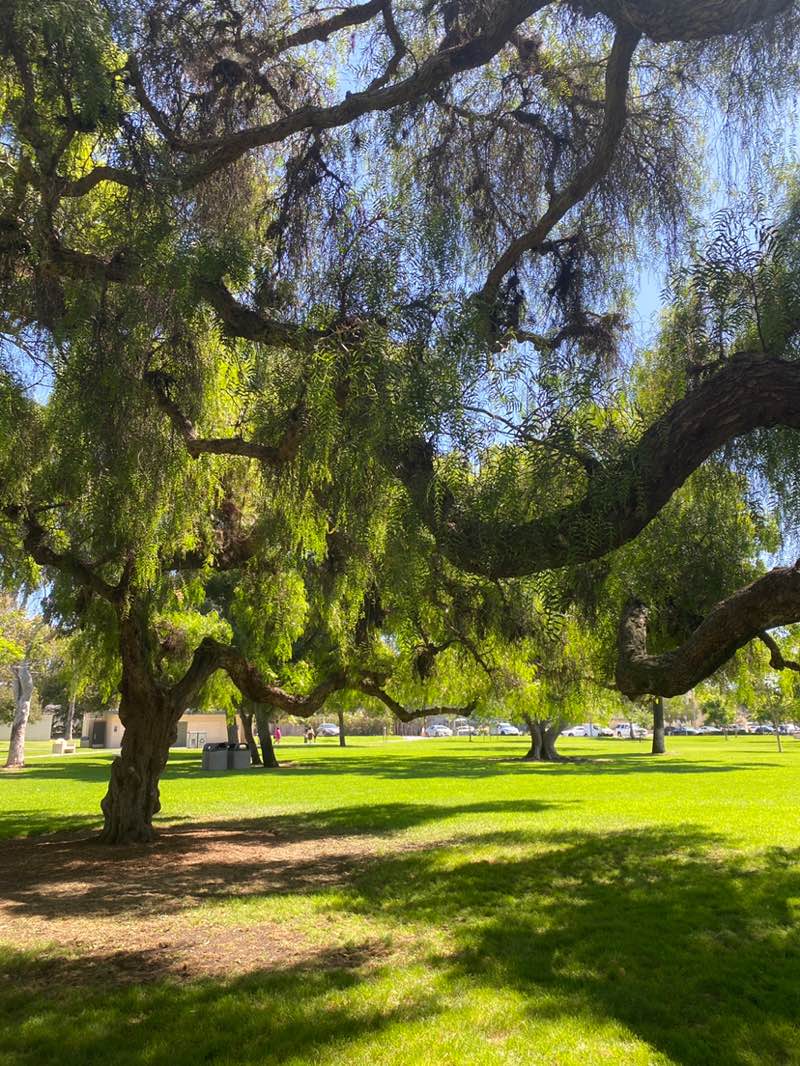 walking near me in Holiday Park in autumn