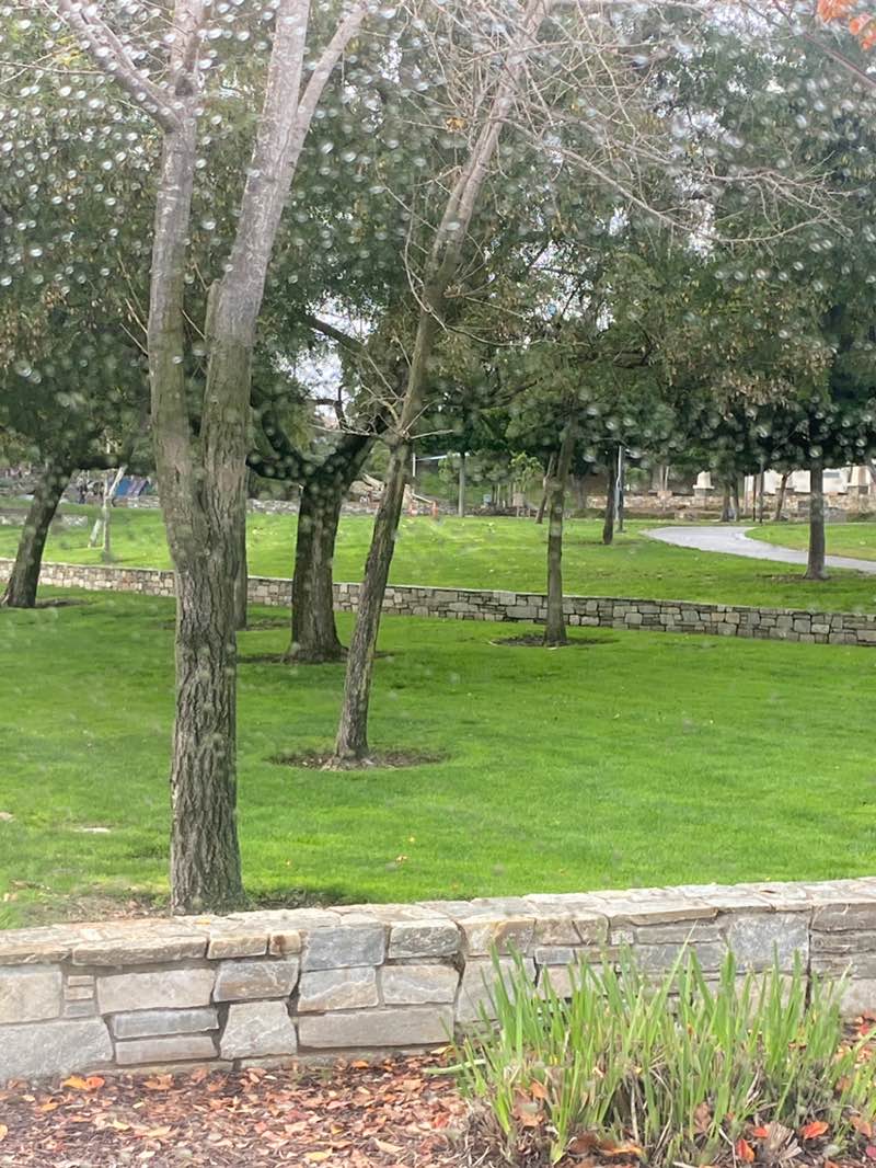 walking near me in Laguna Hills Community Center & Sports Complex in winter