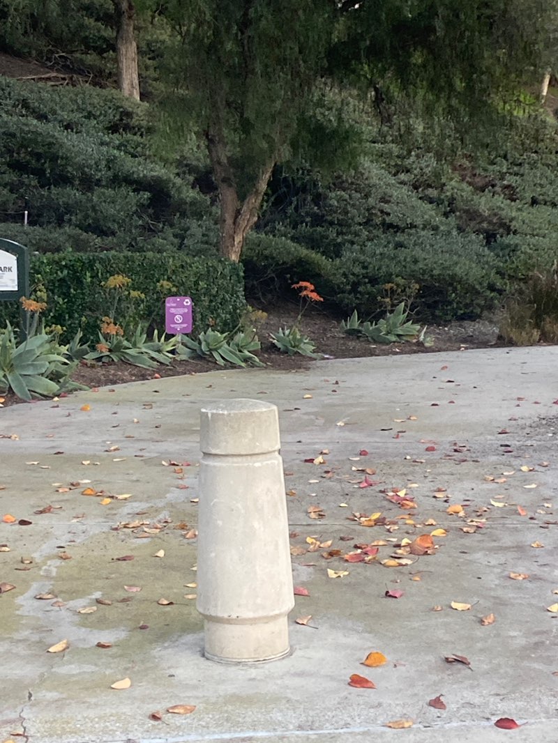 walking near me in Birchwood Park in winter