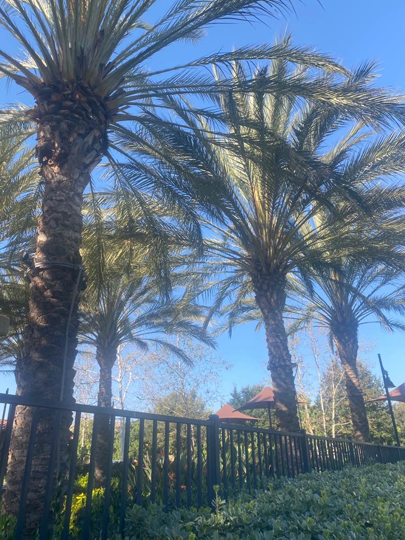 walking near me in Vista Swim Club in winter