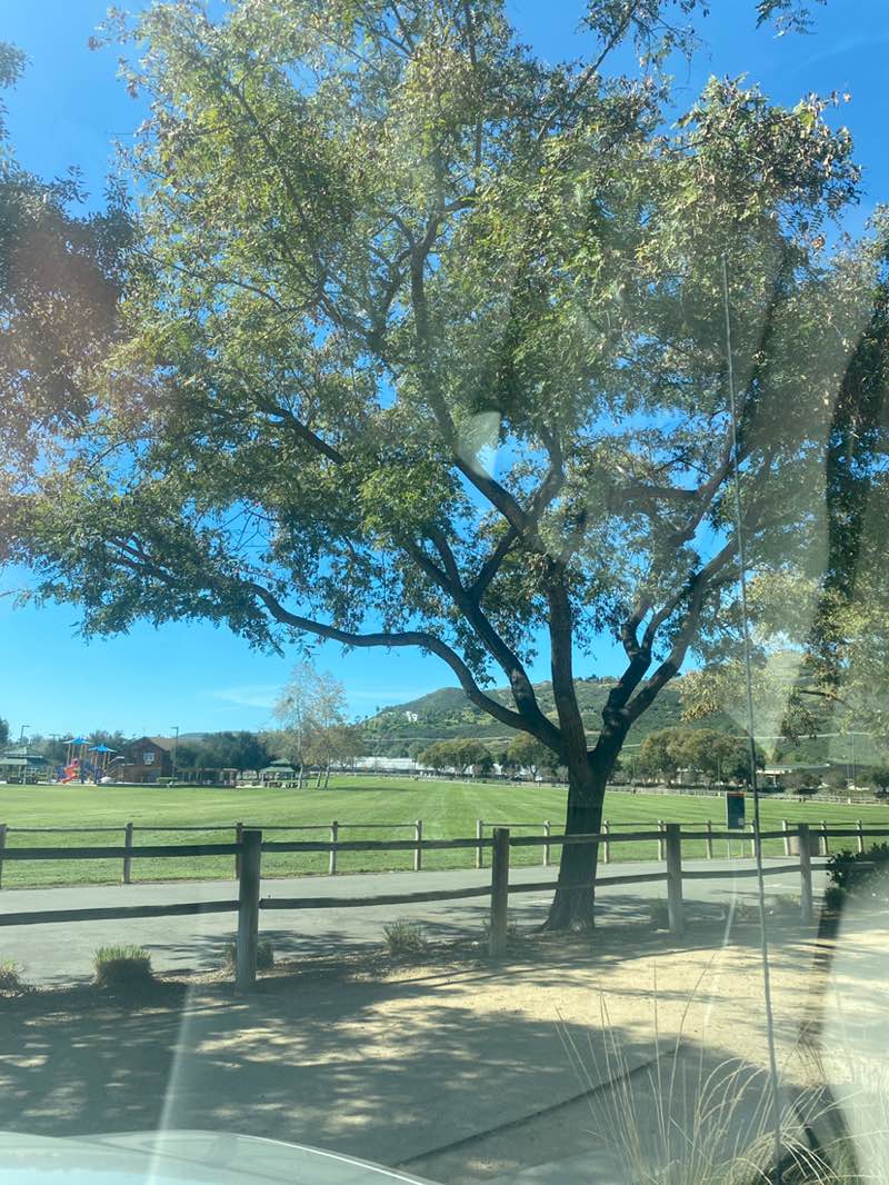 walking near me in Walnut Grove Park in winter