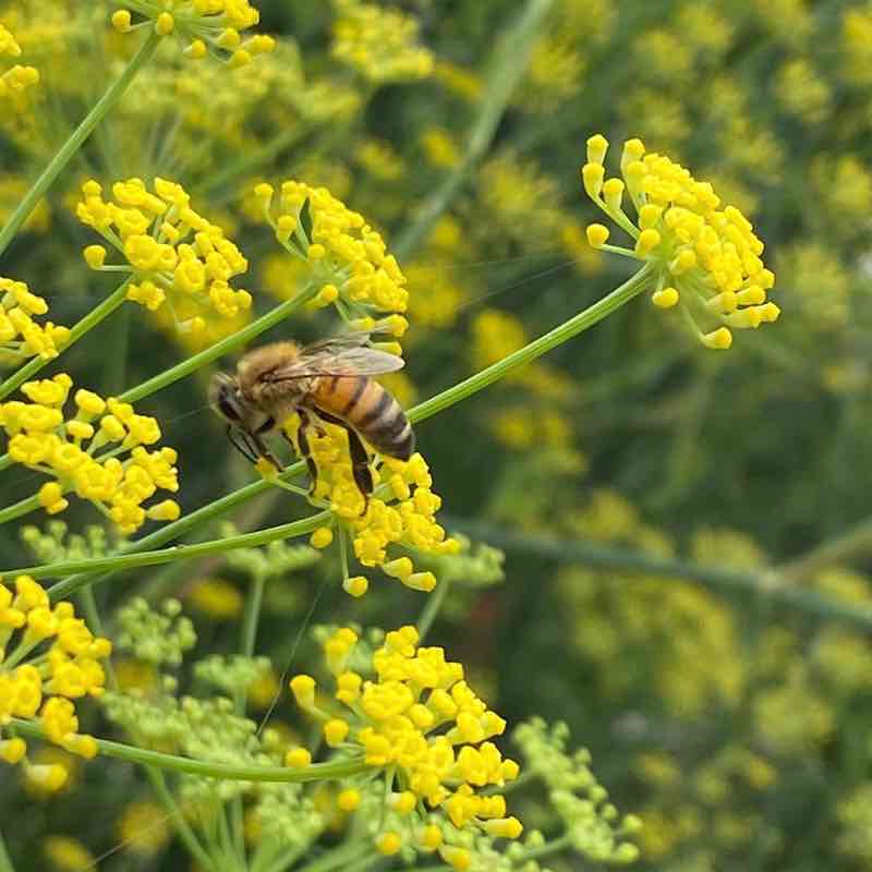 🍀🕊️🌸Lucky8🌸🕊️🍀 post 3