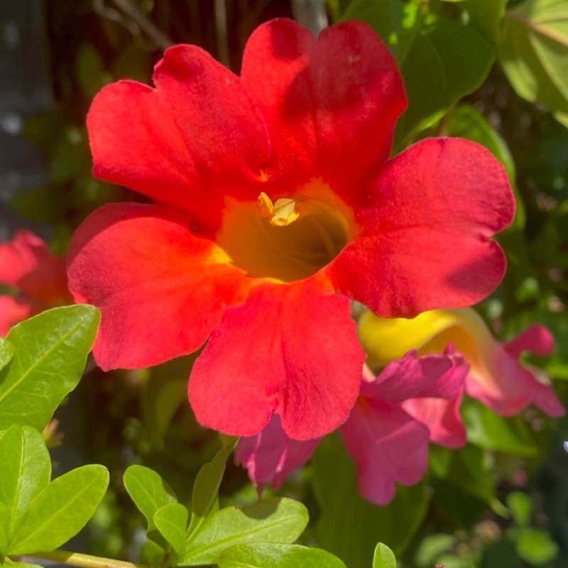 🍀🕊️🌸Lucky8🌸🕊️🍀 post 2