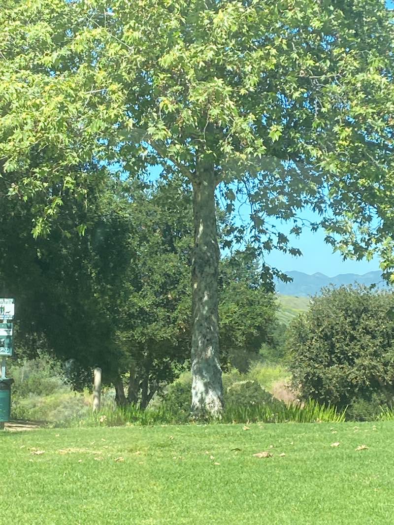 walking near me in Bluff Top Park in spring