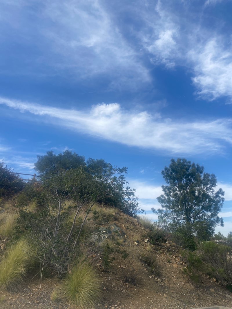 walking near me in Double Peak Park in spring