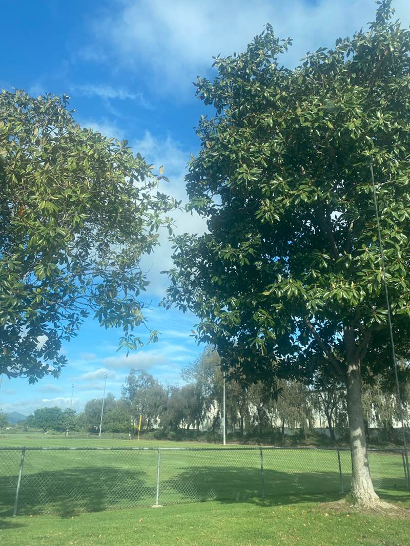 walking near me in Lake Park in spring