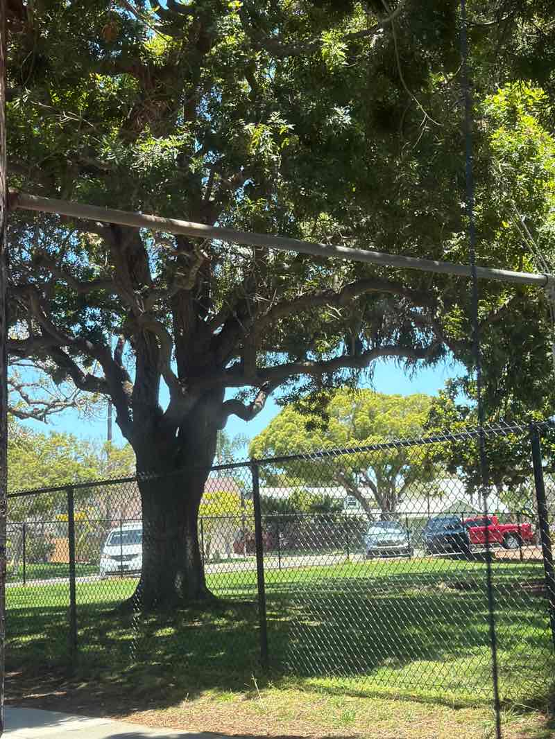 walking near me in South Oceanside Park in summer