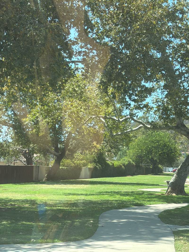 walking near me in El Norte Park in summer