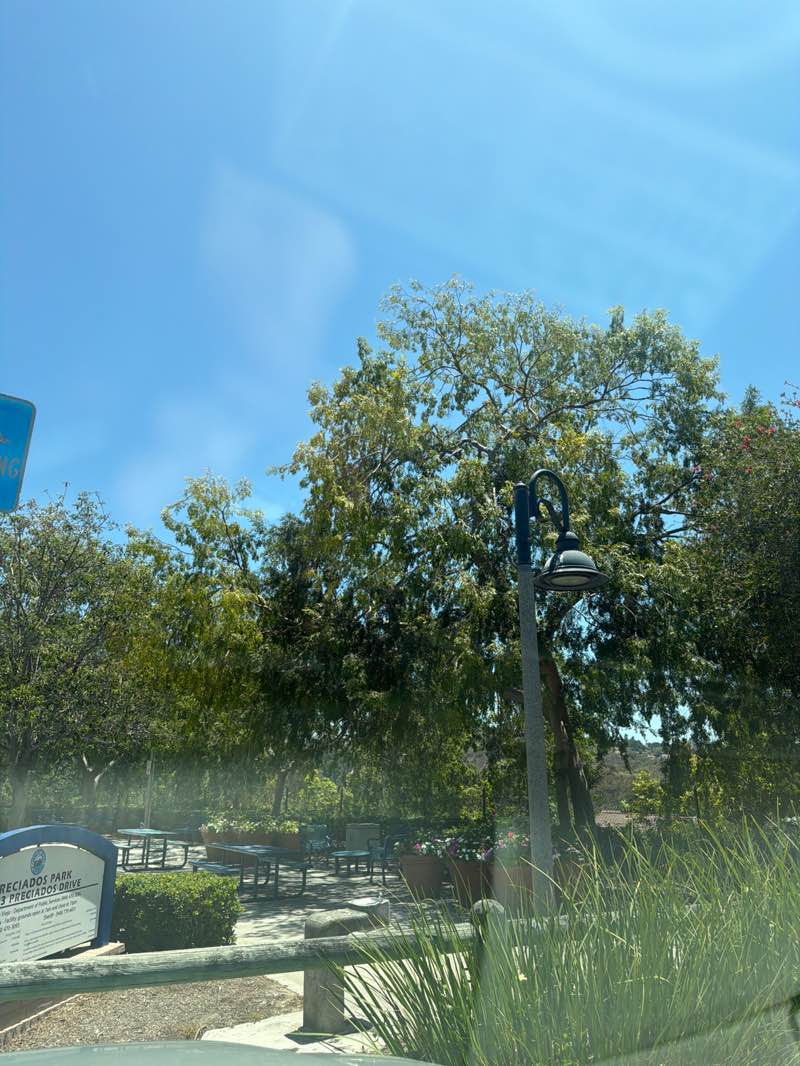 walking near me in Preciados Park in summer