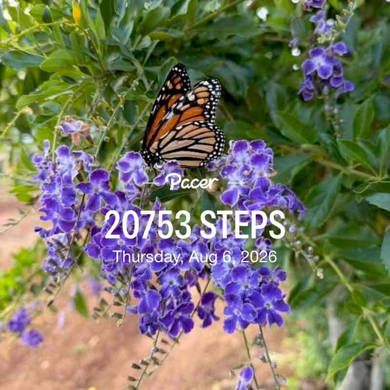 🍀🕊️🌸Lucky8🌸🕊️🍀 post 1
