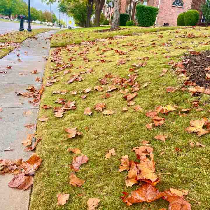 The real SBF ๐๏ธ Rinku post image