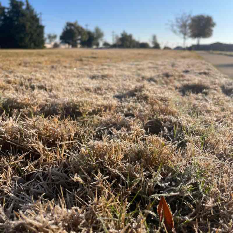 The real SBF ๐๏ธ Rinku post image