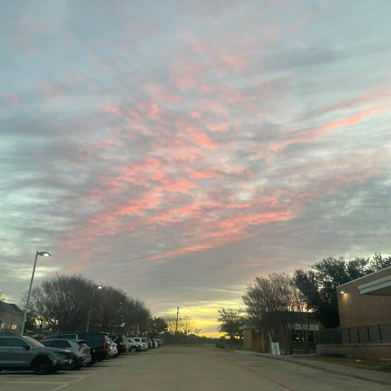 The real SBF 🏖️ Rinku post image