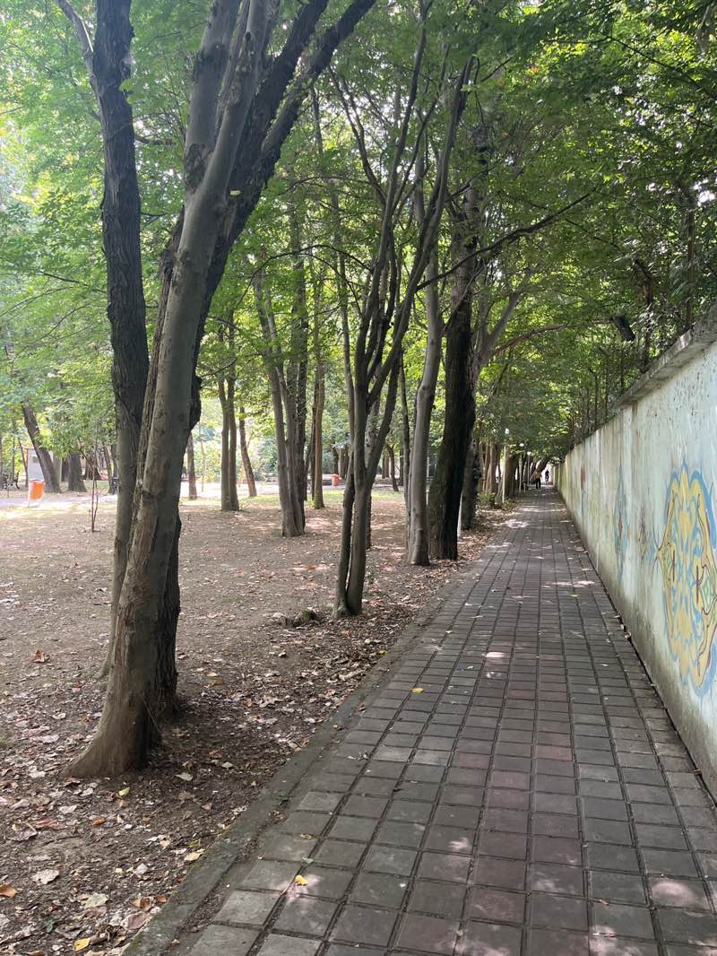 walking near me in پارک اندیشه in summer