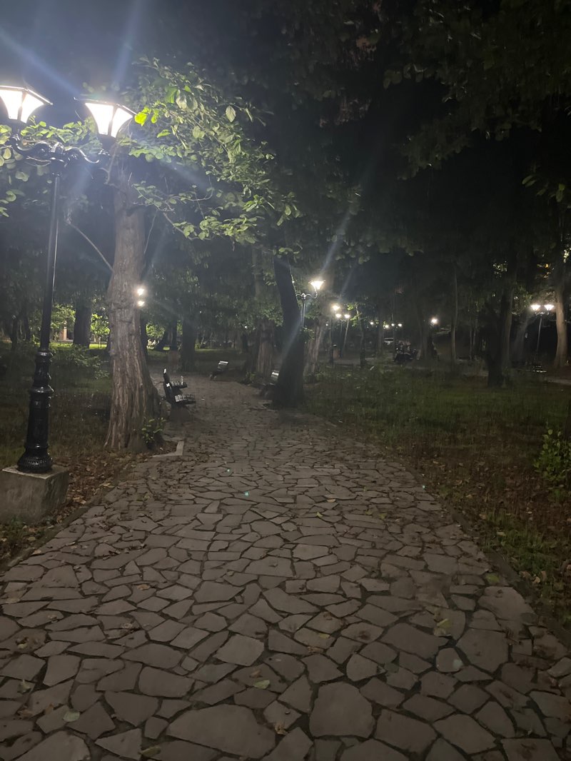 walking near me in Salar Meshkat Park in autumn