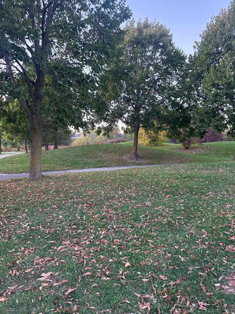 walking near me in Russell Farm Park in autumn