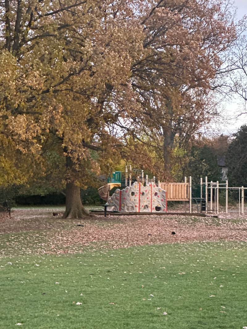 walking near me in Grandview Park in autumn