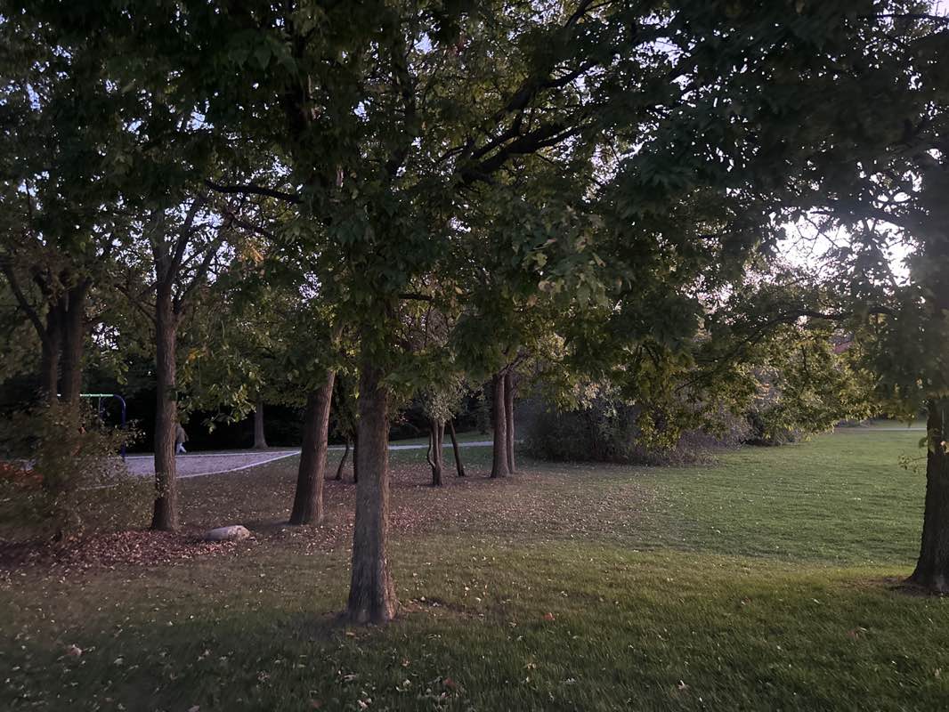 walking near me in Worth Park in autumn