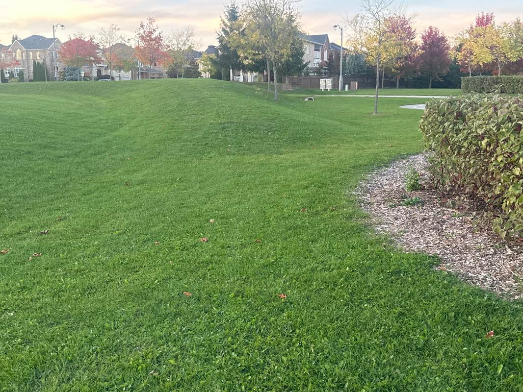 walking near me in Eagle's Landing Park in autumn