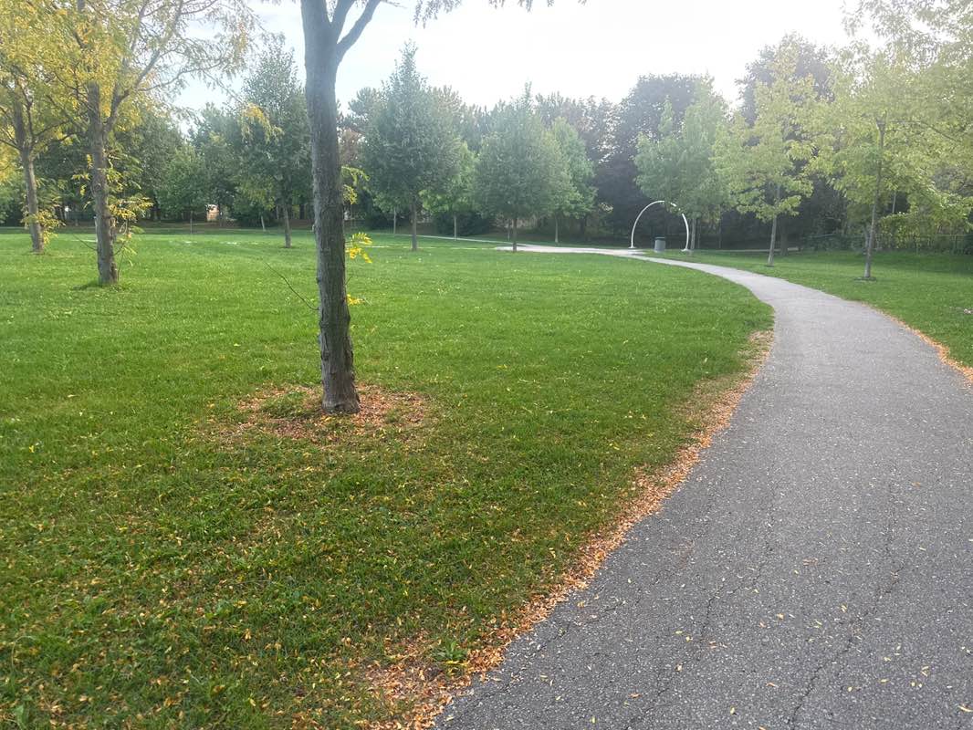 walking near me in Tannery Park in autumn