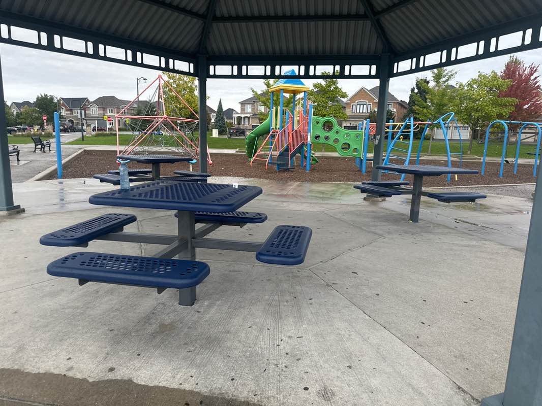 walking near me in Pioneer Park in autumn