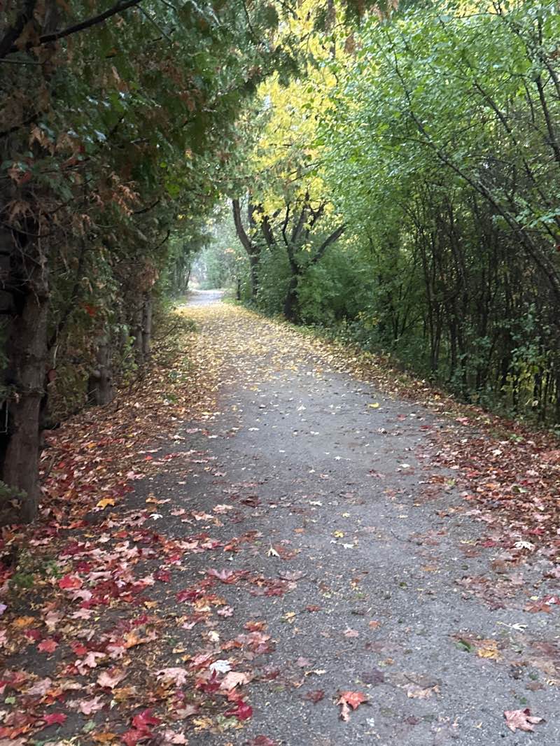 walking near me in New Berry Park in autumn