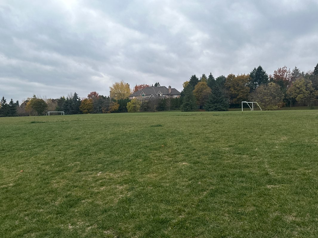 walking near me in Bayview Hill Park in autumn