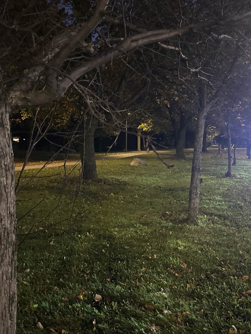 walking near me in Newkirk Park in autumn