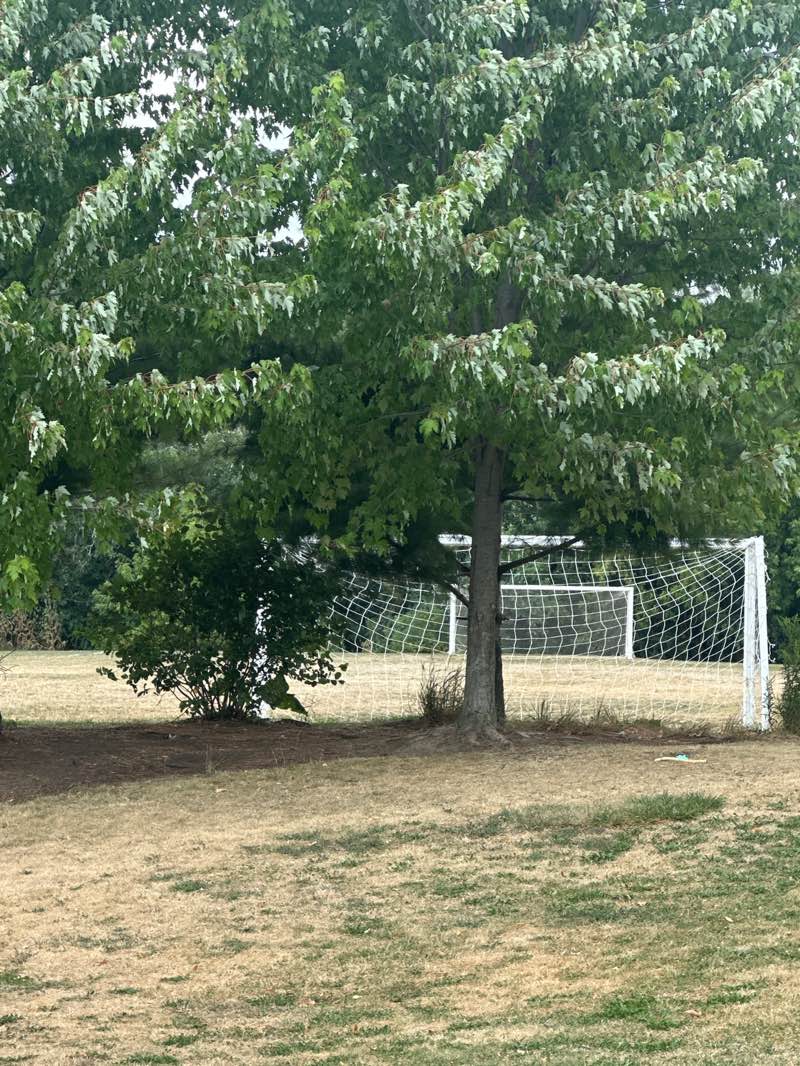 walking near me in Richvale Athletic Park in autumn