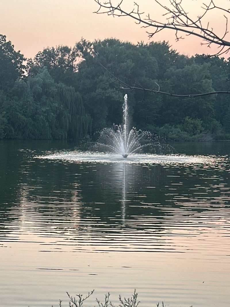 walking near me in Mill Pond Park in autumn