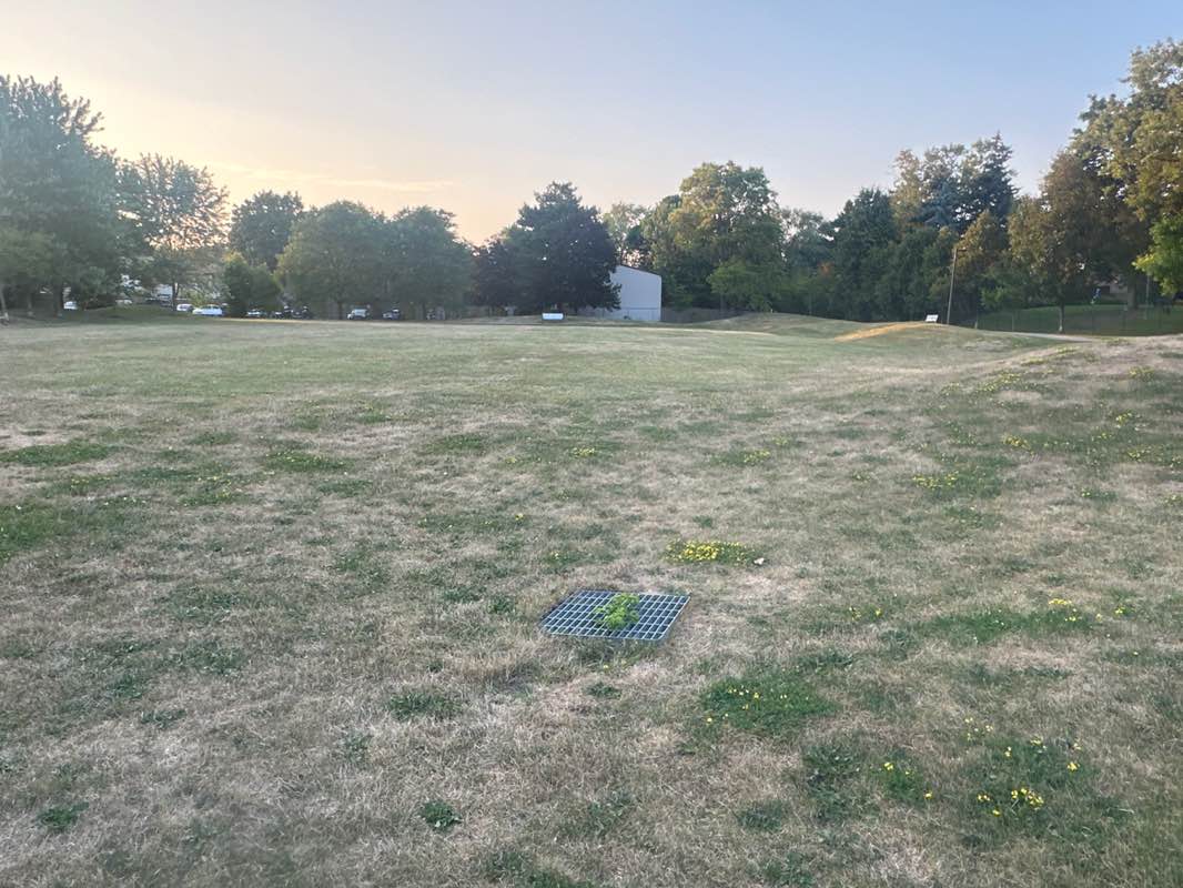 walking near me in Baif Park in autumn