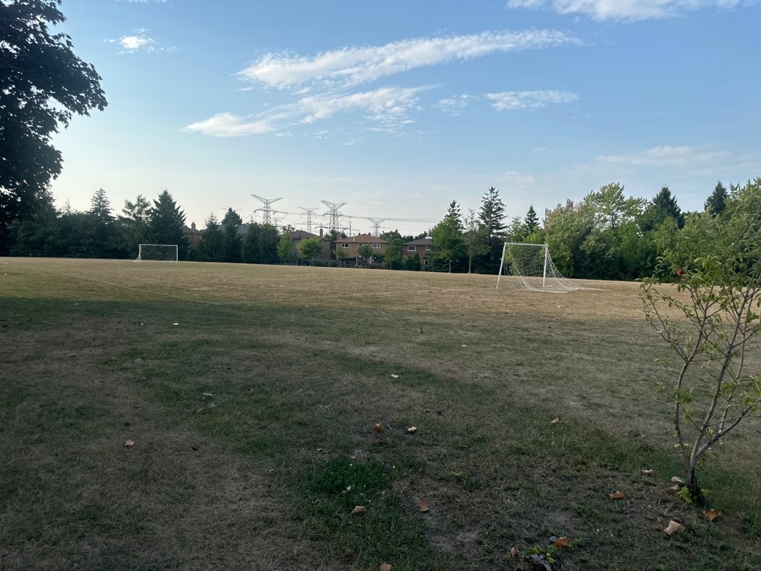 walking near me in Bayview Reservoir Park in autumn