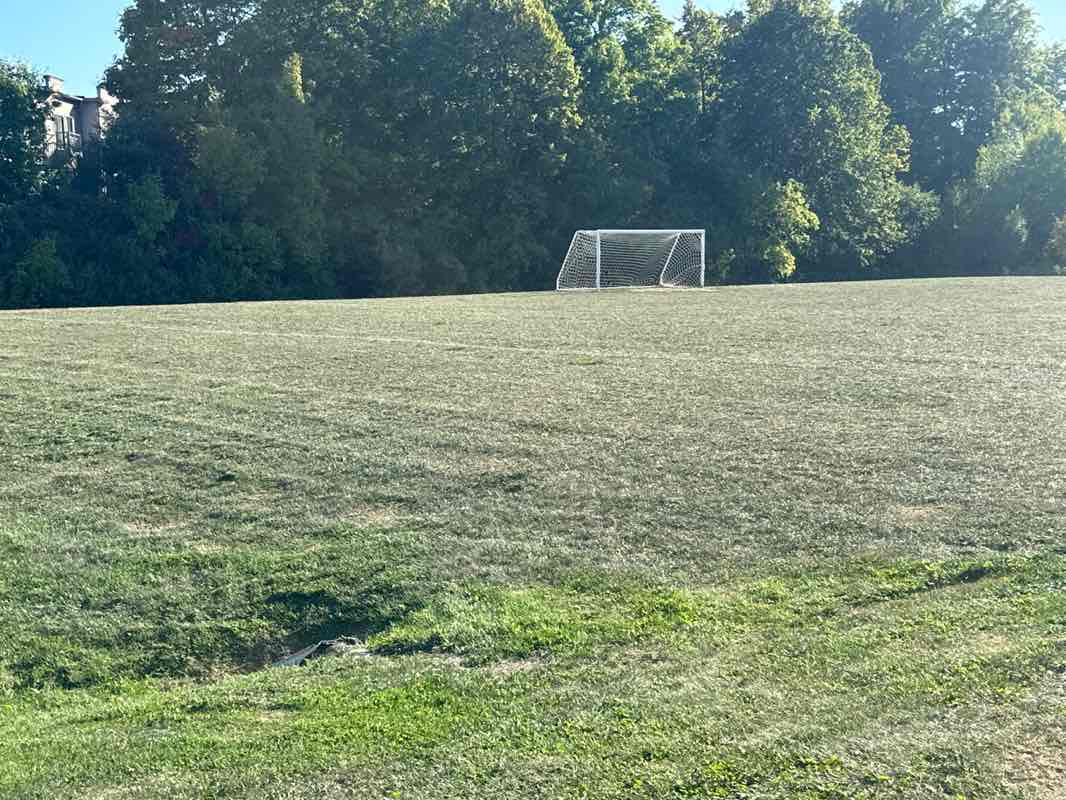 walking near me in Mill Race Park in autumn