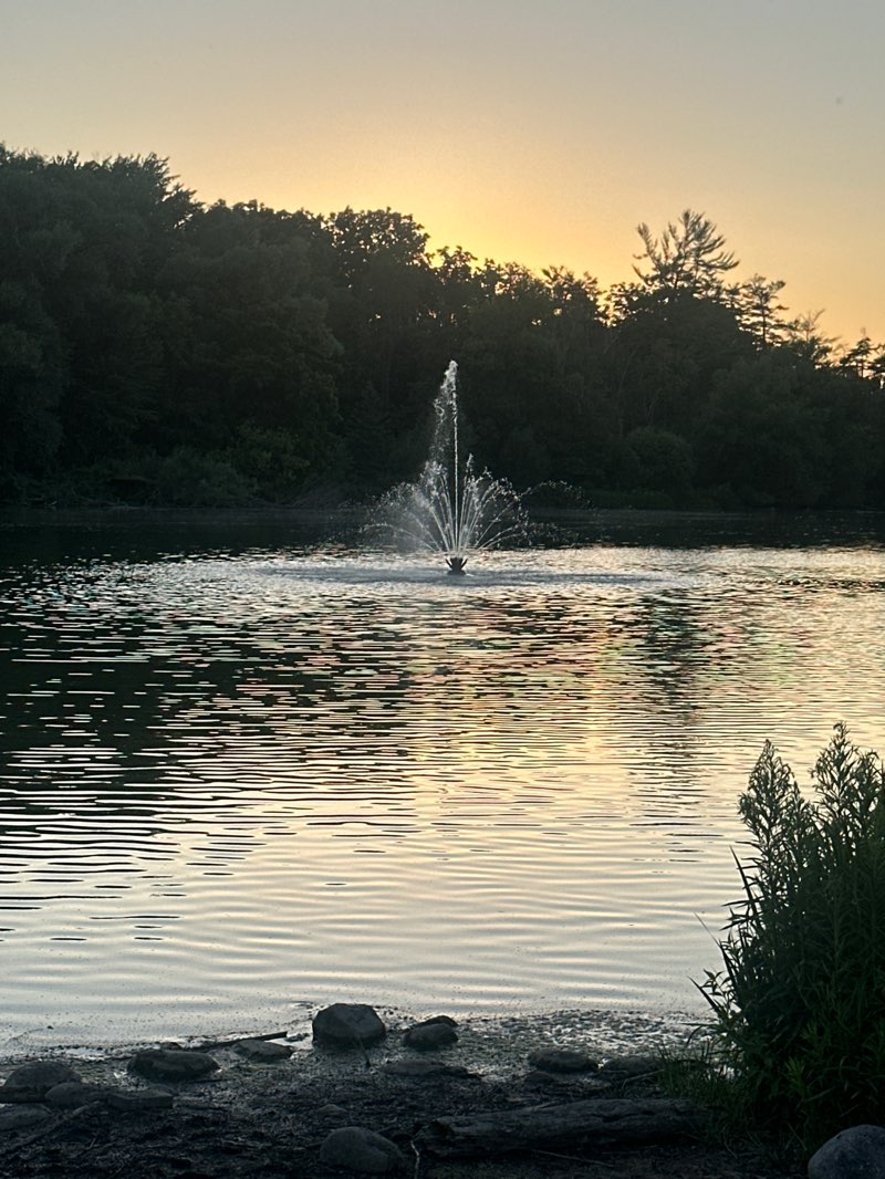 walking near me in Mill Pond Park in summer