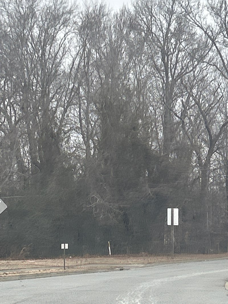 walking near me in Harbour Breeze Estates Playground in winter