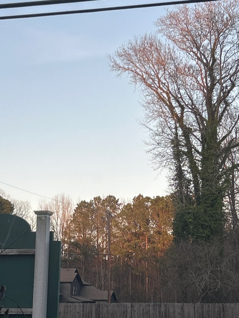 walking near me in Pughsville Park in spring