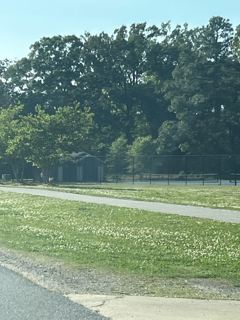 walking near me in Bennett's Creek Park in spring