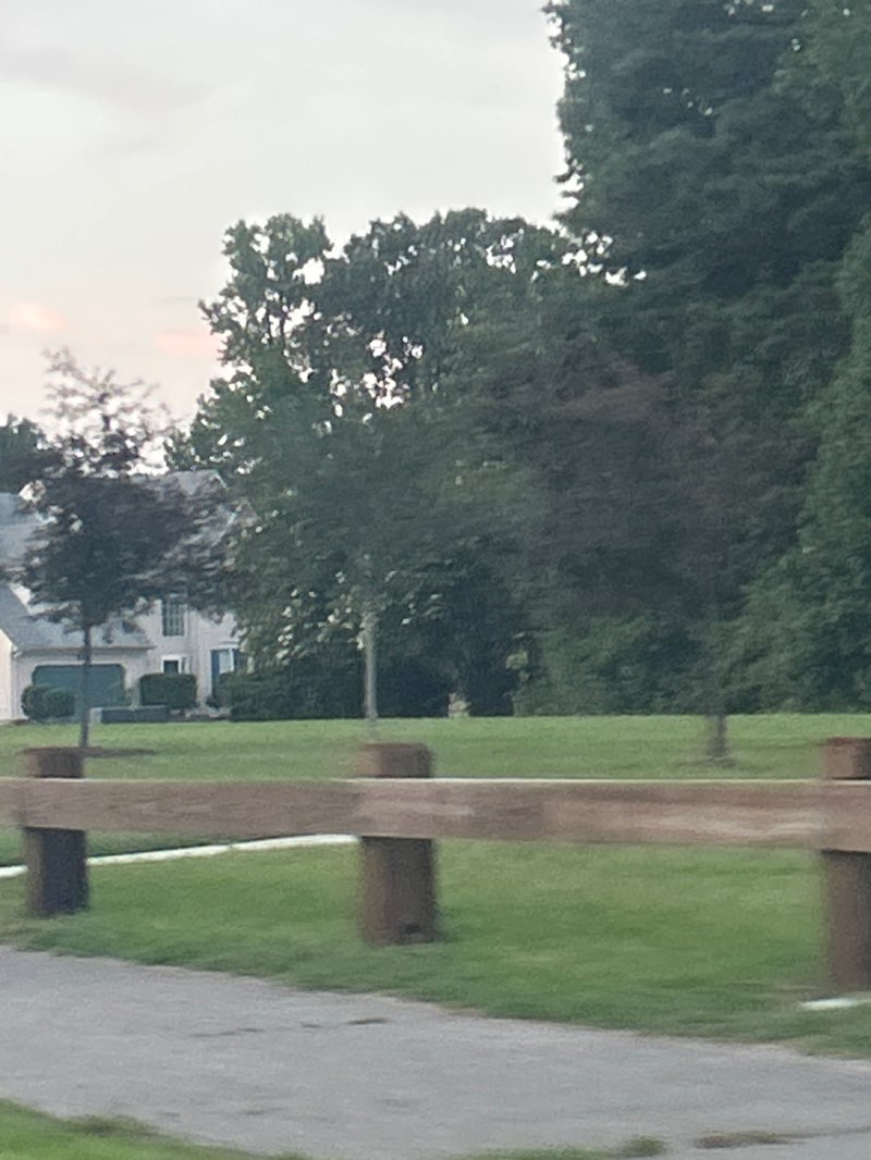 walking near me in Hunter's Cove Park in summer