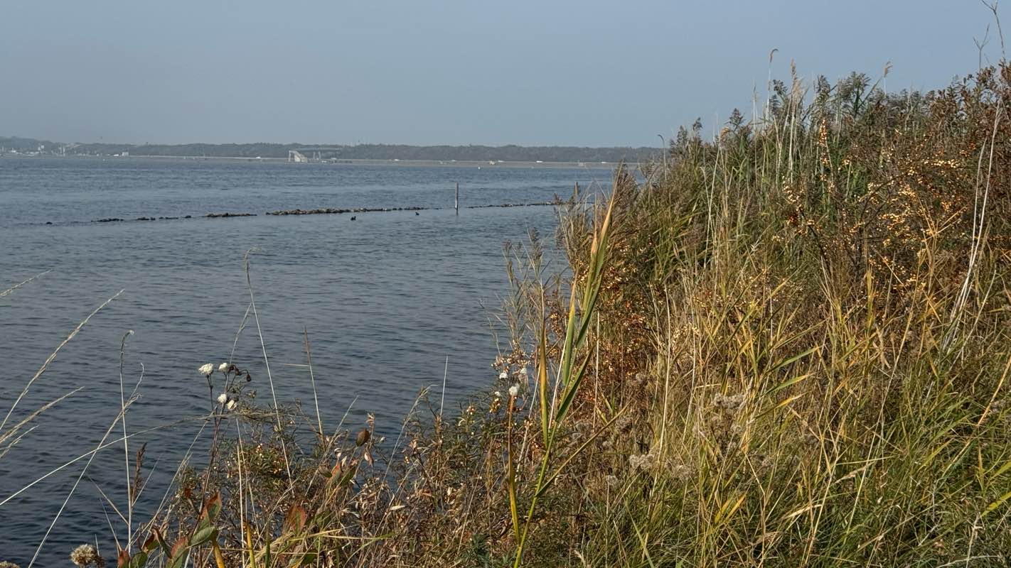 walking near me in Ruiterplaat in autumn