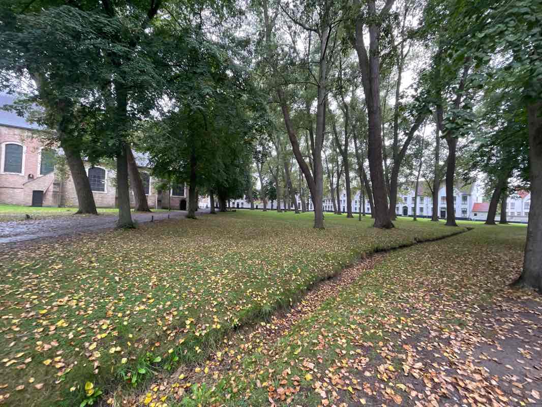 walking near me in Begijnhof in winter