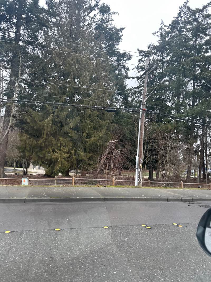 walking near me in Morrill Meadows Park in winter
