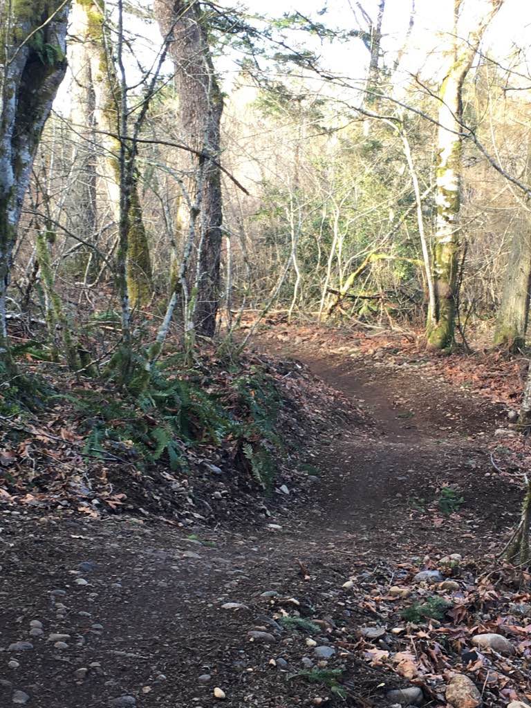 walking near me in Black Diamond Open Space in winter