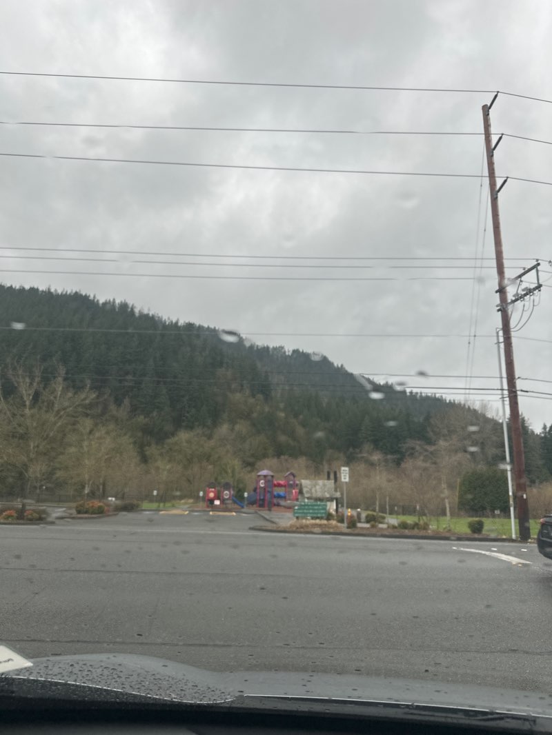 walking near me in Squak Valley Park in spring