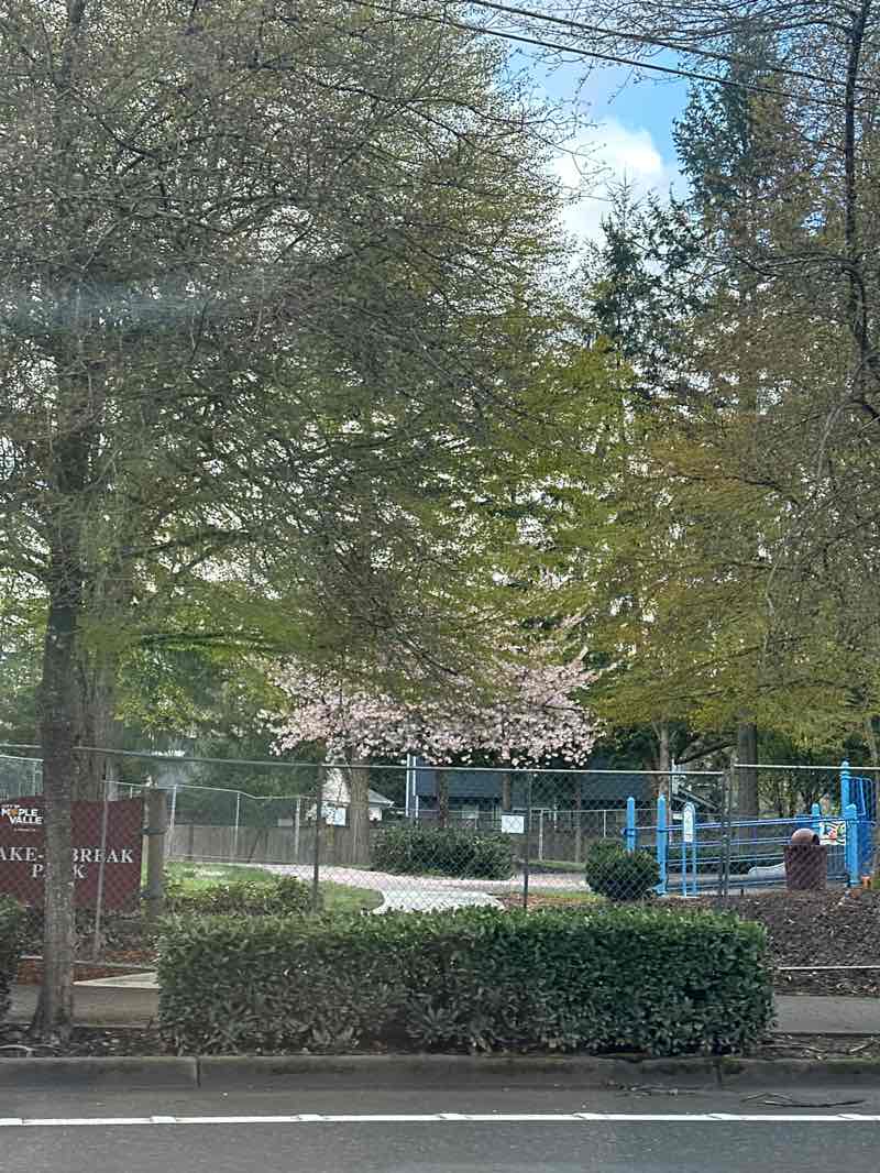 walking near me in Take-A-Break Park in spring