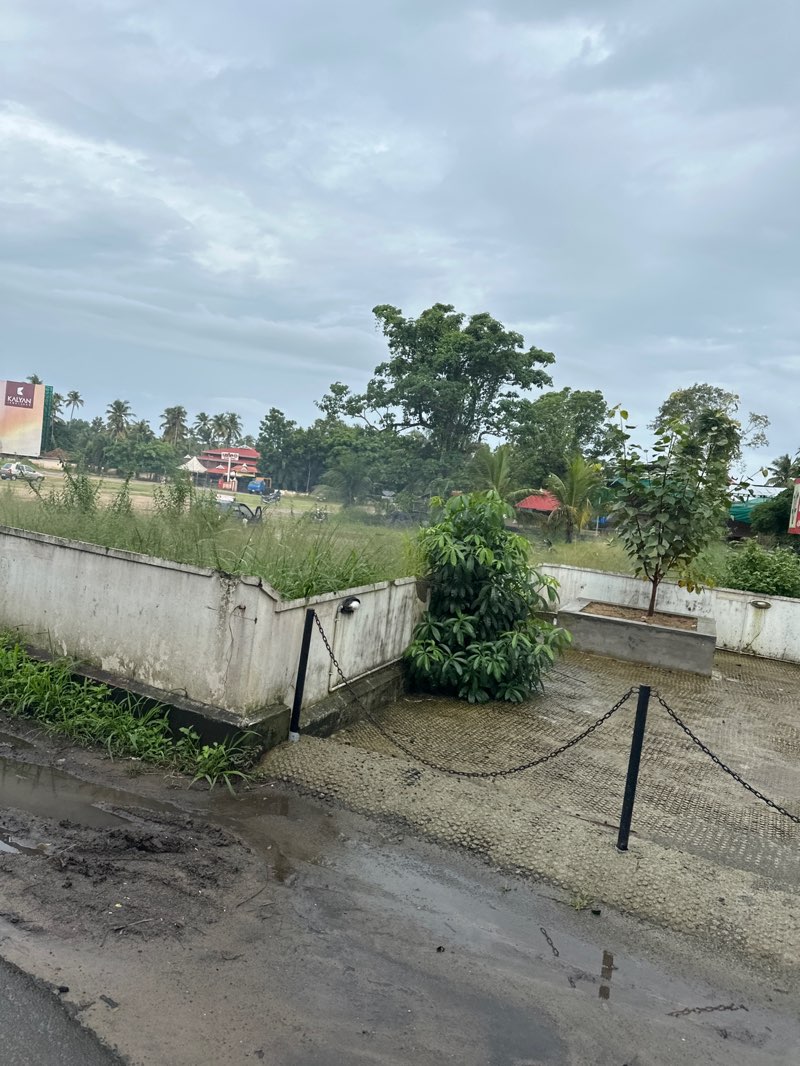 walking near me in Puthiyakavu Temple Grounds in summer