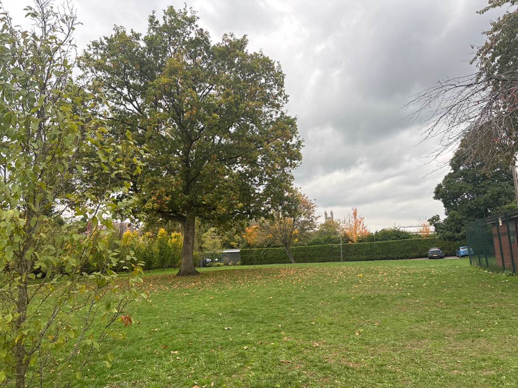 walking near me in Baxter Garden in autumn