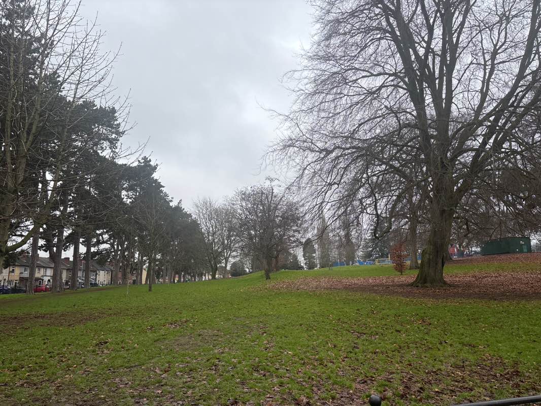 walking near me in Brinton Park in winter