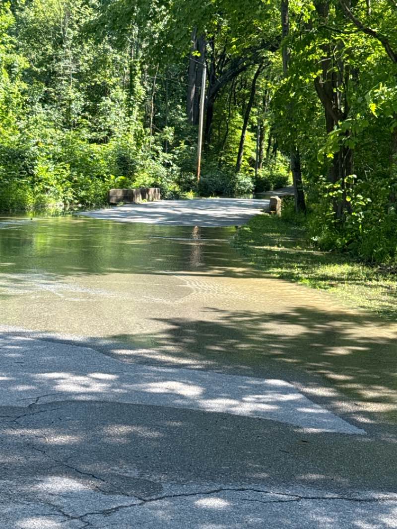 walking near me in Indiana Dunes State Park in summer