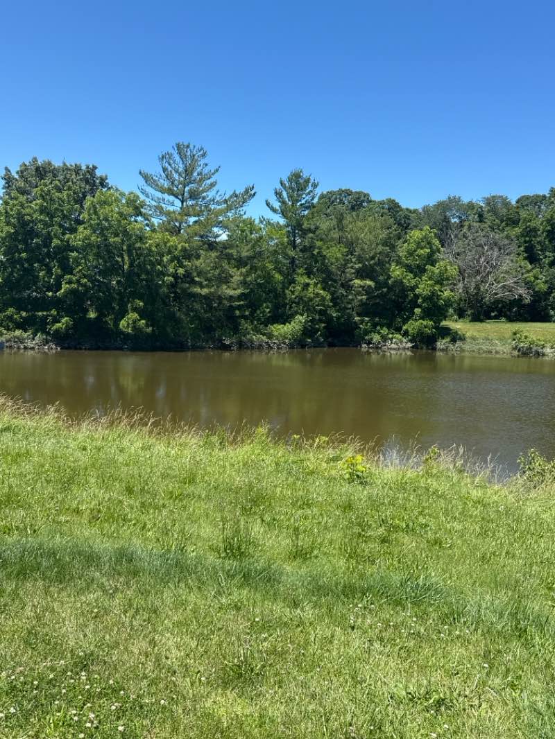 walking near me in Olson Memorial Park in summer