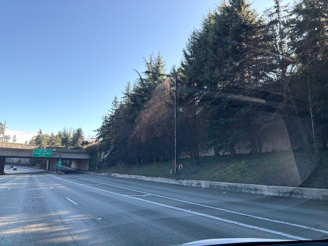 walking near me in Aubrey Davis Park in winter